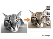 [Gratuit] Comment coloriser des photos en noir et blanc ?