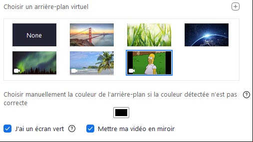 Zoom Arrière plan